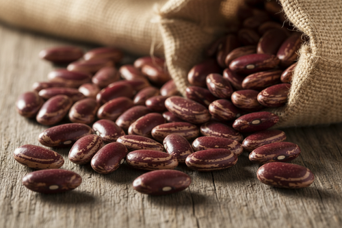 Bert Goodwin
A beautiful large maroon kidney with light yellow stripes, this heirloom was maintained for many years by the family of Walt Staples in Eliot, Maine. 

Sold in 1 lb. bags. Add to your cart first and then adjust quantities for 2+ bags.

Buy 20 lbs. of beans and save 10% off your order. (Use Discount Code: 20 pounds)